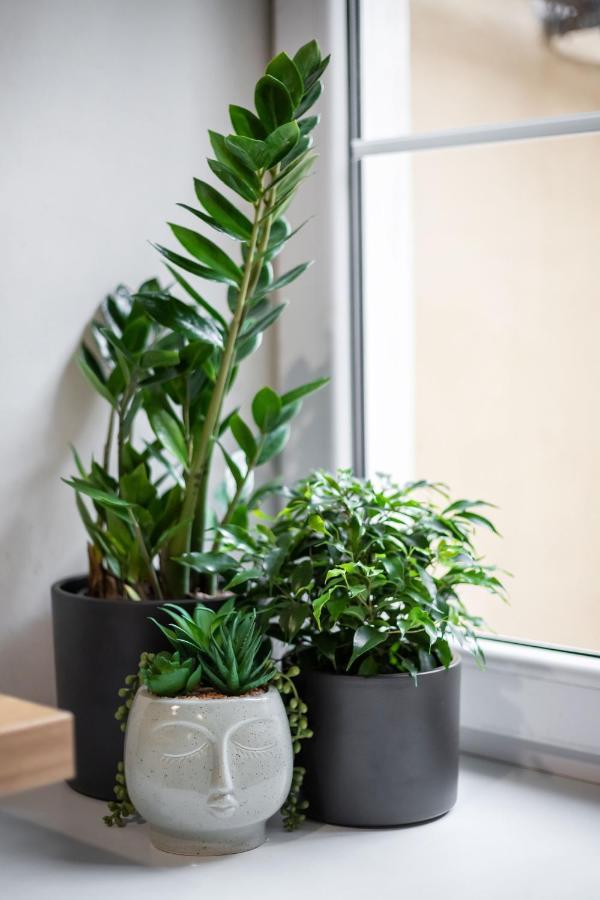 #Stayhere - Cozy 1Bdr Apartment Vilnius Old Town Zewnętrze zdjęcie